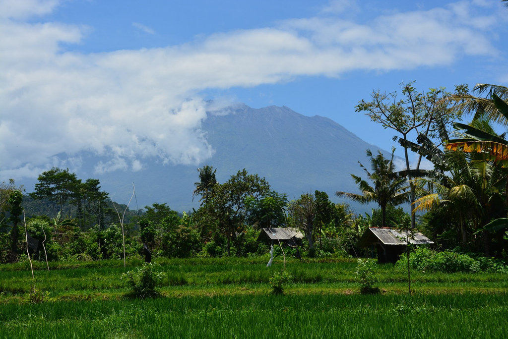 Agung2.jpg