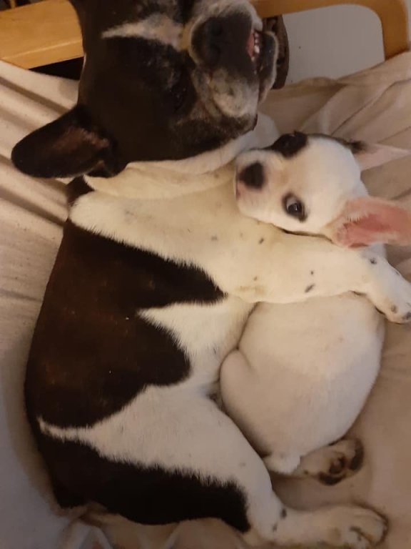 Cuddling the new baby.jpg