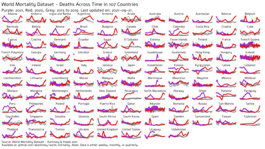 World Mortality Dataset.JPG