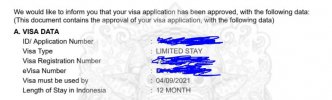 e-visa.JPG