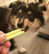 IMG_5169.jpeg
